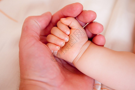 握着新生婴儿的手图片