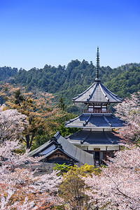 吉野山日本金峰山寺宝塔背景图片