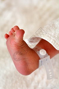 新出生的婴儿脚和身份识别手图片