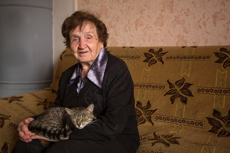 猫在沙发上的老妇人图片