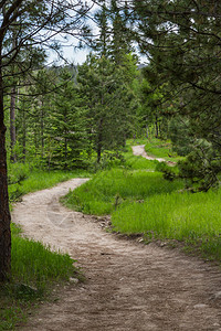 在南达科他州卡斯特州立公园沿徒步小图片