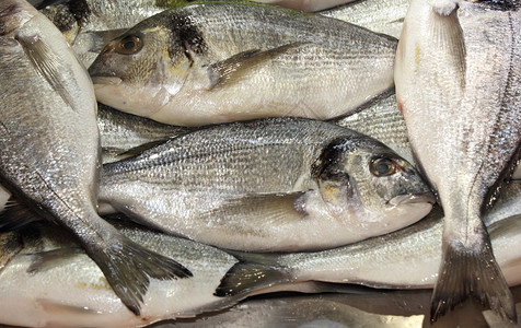 供在土耳其FethiyeFethiye流行的鱼市场销售的鱼图片