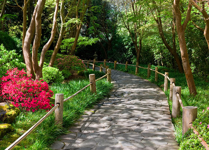 日本茶园的石路旧金背景图片