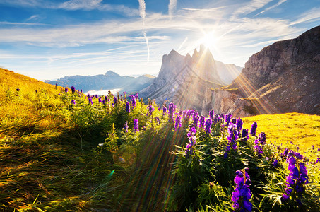 OdleGeisler集团的美景公园山谷ValGardena白云岩图片