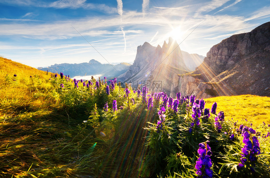 OdleGeisler集团的美景公园山谷ValGardena白云岩图片