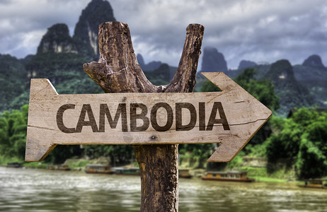 柬埔寨有森林背图片