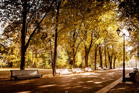 秋天公园的长椅秋天的风景图片