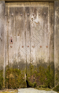 带苔藓和铁锁的老式木门特写图片