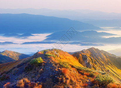 山坡上的太阳第一线山脊的风景无处不在图片