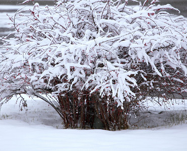 户外冬季雪外景图片