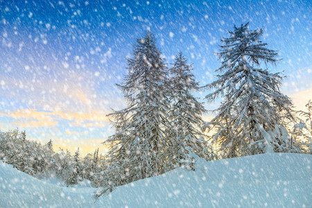 欧洲斯洛文尼亚Vogel滑雪中心附近的阿尔卑图片