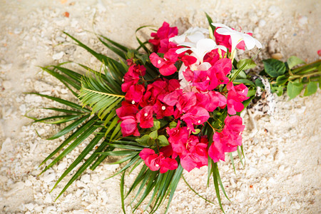 用红色热带花朵制成的花图片