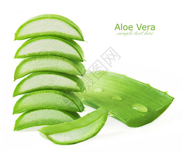 AloeVera叶子白图片