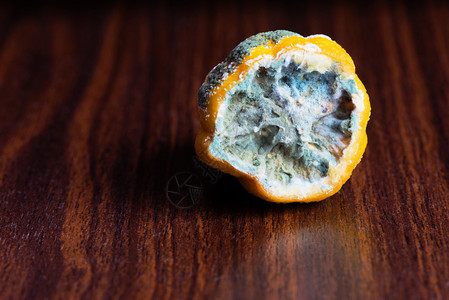 灵芝孢子桌子上模具里的柠檬背景