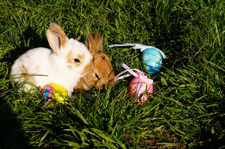 逾越节复活节彩蛋和兔子的盛宴图片