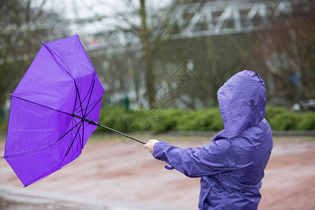 一位女士正在和雨伞搏斗而图片