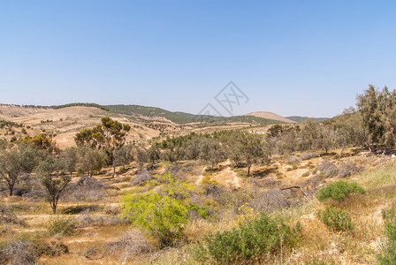 Metar以色列北部BerSh图片