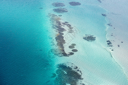 南伊沟在湾的空中观察猴子背景