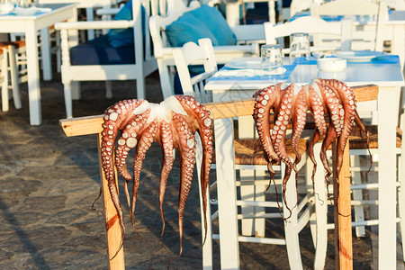新鲜章鱼挂在海鲜餐厅前的架子上图片