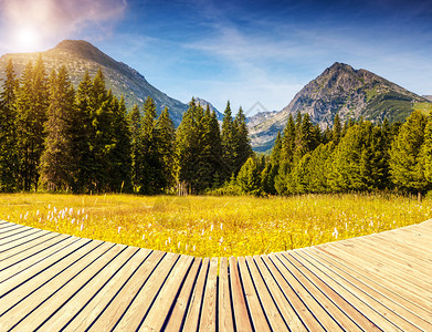 公园高原Tatra图片
