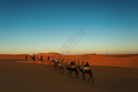 骆驼商队的剪影在日落时分穿过沙漠图片