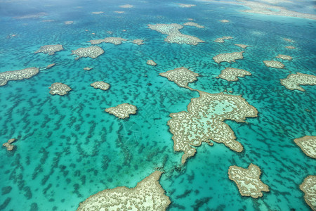 澳大利亚昆士兰圣灵群岛附近大堡礁珊瑚图片