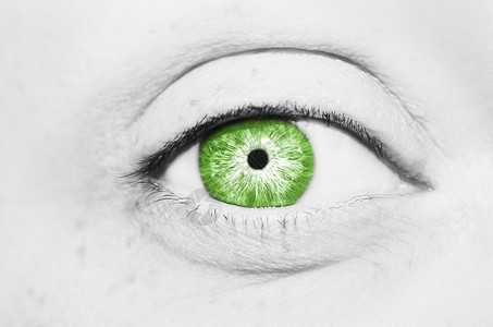 美丽有洞察力的绿色眼睛图片