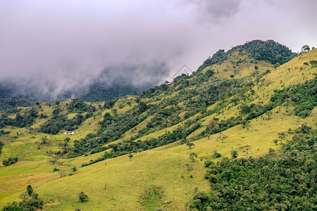 山上的房子山上的绿林科伦比亚背景图片