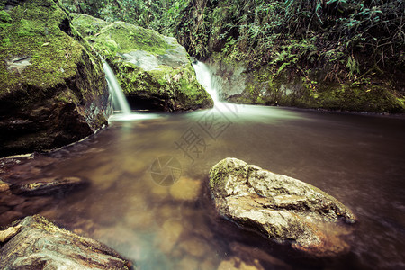哥伦比亚丛林图片