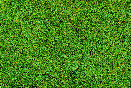 高尔夫球绿色草模式的背背景图片