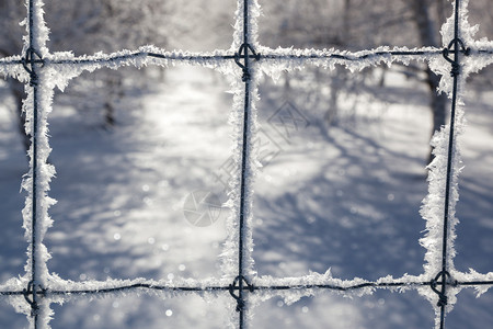 严寒的精细冰晶在冬天生长在栅栏上图片