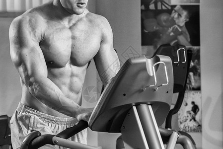 强壮的男人健身房的肌肉训练在图片