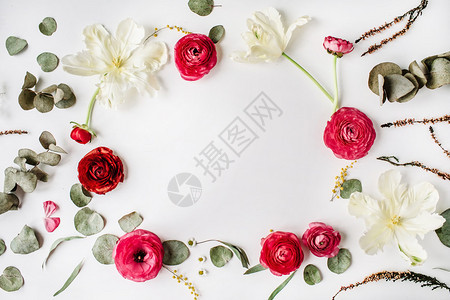 花环框有粉红和玫瑰或彩虹白郁金香和白图片
