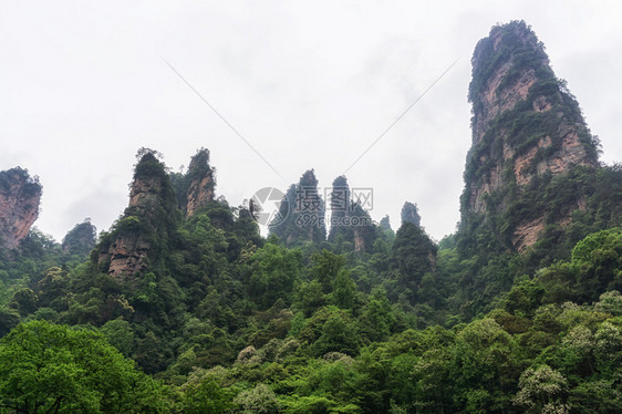 杨家界风景名胜区张家界山水景观图片