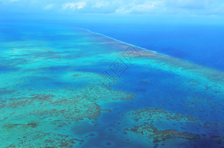 澳大利亚昆士兰州北昆士兰热带地区凯恩斯附近大堡礁上的阿尔林顿珊瑚图片