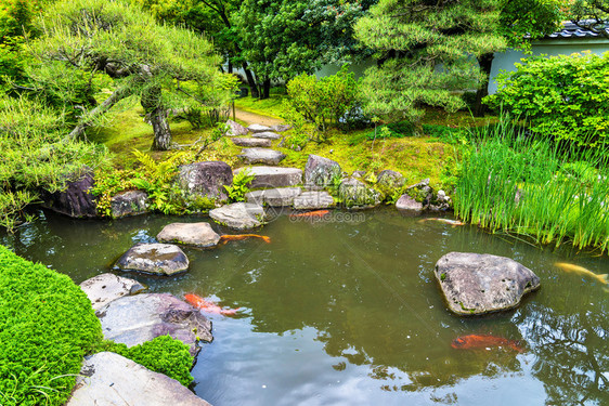 日本喜济寺的日本传统花园K图片