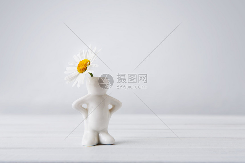 美丽的雏菊在小白色陶瓷花瓶中图片