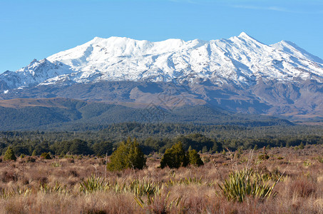 鲁阿佩胡山景观是位于汤加里罗公园的新西兰北岛海拔20米最高山峰海图片