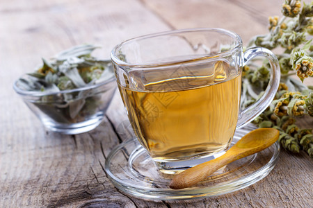 山茶Sideritis草药茶和木本的花图片