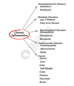 慢炎症示意图图片