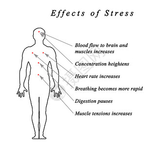 diagramofStressBody背景图片