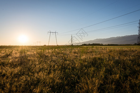 阳光明媚的草原上电线图片