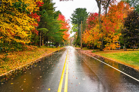 美国缅因州缅因州秋天与多彩树图片