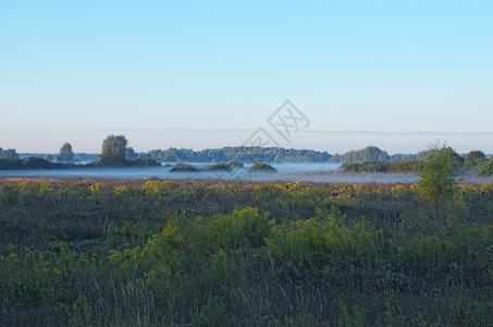 清晨的乡村低洼的雾气掩盖了大地图片