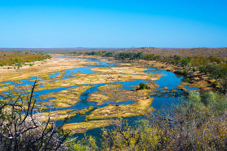 河风景秀丽色彩缤纷的景观与野生动物在克鲁格公园图片