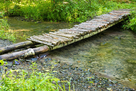 在一个小河森林的木桥图片