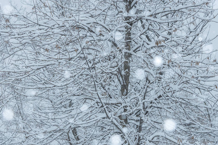 寒冬雪景图片