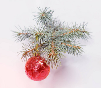 带红球和眩光的圣诞冷杉树枝图片
