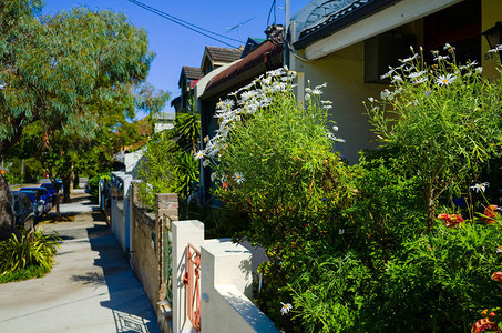 澳大利亚悉尼郊区一条郊区街道有典型的图片