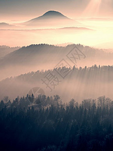 在美丽的山丘中起雾山峰露出浓雾的地貌图片